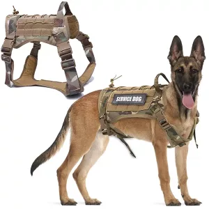 Gilet Militare Con Imbragatura Tattica Per Cani