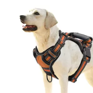 Pettorina Riflettente Per Cani Con Manico