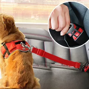 Cintura Di Sicurezza Per Cani In Auto