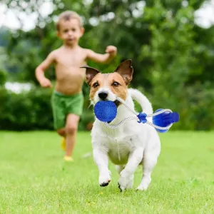 Giocattolo Interattivo Per Cani A Ventosa