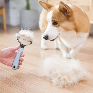 Pettine Per La Tosatura Del Cane