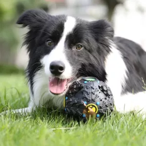 Giocattolo Puzzle Per Cani
