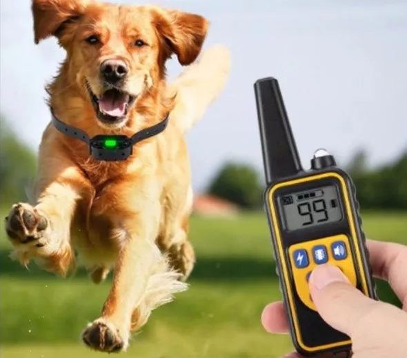 Collare Di Addestramento Per Cani Con Telecomando