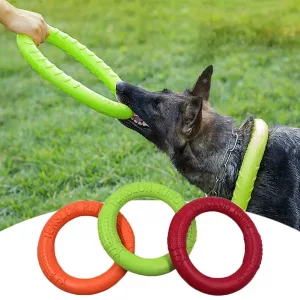 Giocattolo Da Masticare Per Cani Per Addestramento Con Anello Di Gomma