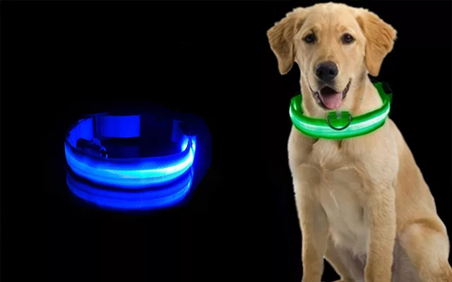 collare per cani, collare per cani a led, collare per cani luminoso, collare per cani luminoso, collare per cani luminoso al buio, collare per cani lampeggiante, collare per cani ricaricabile