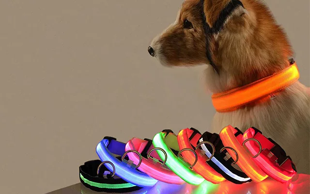 collare per cani, collare per cani a led, collare per cani luminoso, collare per cani luminoso, collare per cani luminoso al buio, collare per cani lampeggiante, collare per cani ricaricabile