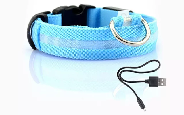 collare per cani, collare per cani a led, collare per cani luminoso, collare per cani luminoso, collare per cani luminoso al buio, collare per cani lampeggiante, collare per cani ricaricabile