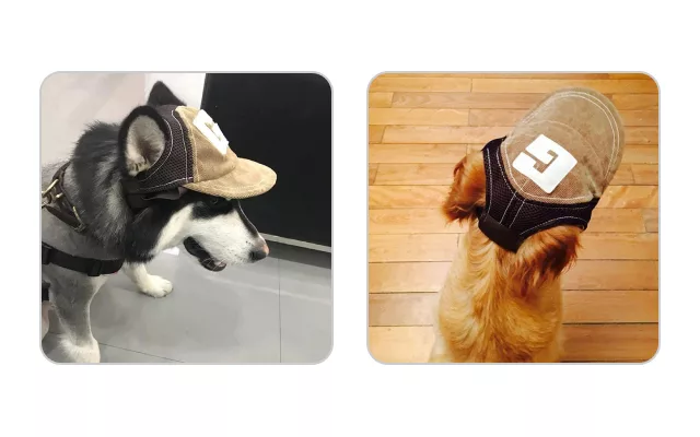 cappello per cani, berretto da baseball per cani, cappelli per cani con fori per le orecchie, berretto da baseball per cani, cappello per animali domestici