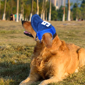 cappello per cani, berretto da baseball per cani, cappelli per cani con fori per le orecchie, berretto da baseball per cani, cappello per animali domestici