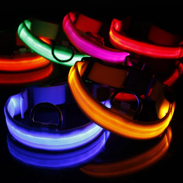 collare per cani, collare per cani a led, collare per cani luminoso, collare per cani luminoso, collare per cani luminoso al buio, collare per cani lampeggiante, collare per cani ricaricabile