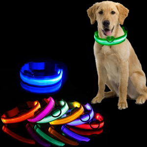 collare per cani, collare per cani a led, collare per cani luminoso, collare per cani luminoso, collare per cani luminoso al buio, collare per cani lampeggiante, collare per cani ricaricabile