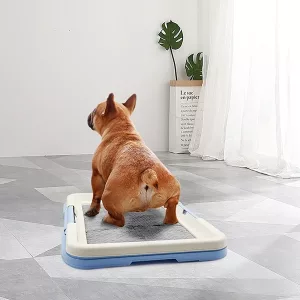 Addestramento al vasino per cani, lettiera per cani, toilette per cani, vasino da interno per cani, bagni per cani, supporto per tappetino per cani, supporto per tappetino per vasino