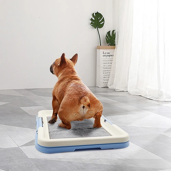 Addestramento al vasino per cani, lettiera per cani, toilette per cani, vasino da interno per cani, bagni per cani, supporto per tappetino per cani, supporto per tappetino per vasino