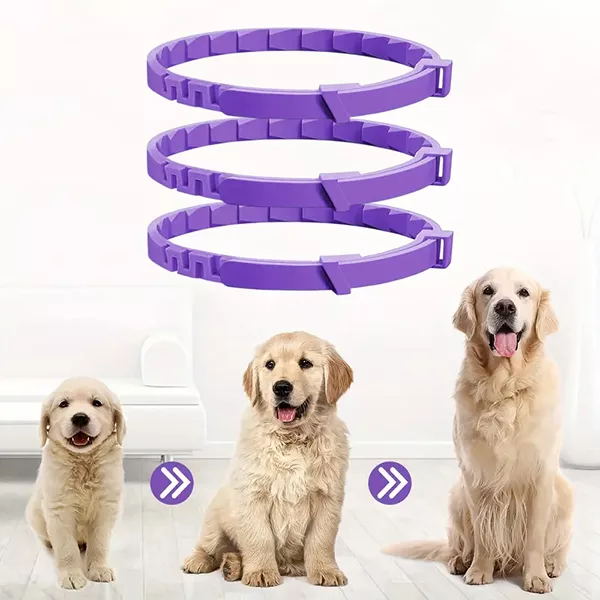 collare calmante per cani, collare ai feromoni per cani, collare calmante