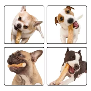 Giocattolo in legno per cani, bastoncino da masticare in legno per cani