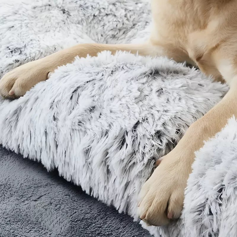 letto per cani, letto per cani lavabile, materasso per cani, letto per cani in peluche, letto per cani riscaldante, letto per cani rettangolare, cuscino per cani