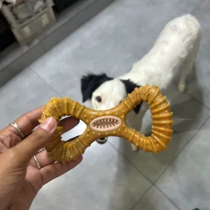 Ricevuto Giocattolo Indistruttibile in Legno da Masticare per Cani per la Pulizia dei Denti dal cliente M****k.