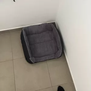 Ricevuto Materasso in Peluche Lavabile per Cani dal cliente B****p.