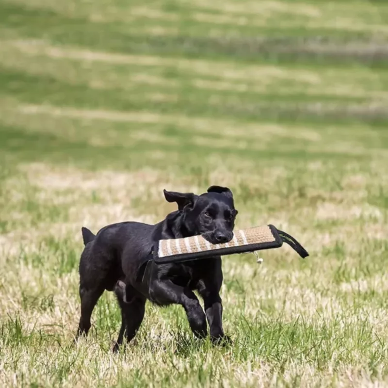 Giocattolo da Tiro per Cani, Giocattolo da Masticare per Cani, Giocattolo da Mordere per Cani