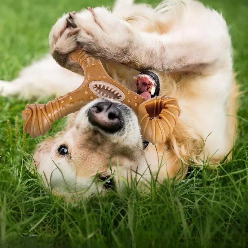 giocattolo indistruttibile per cani, bastoncino da masticare per cani, giocattolo in legno per cani, giocattolo per la pulizia dei denti per cani
