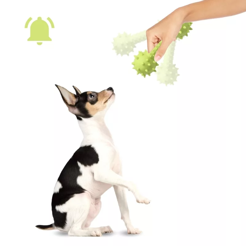 Giocattolo da masticare per cani, giocattolo in gomma per cani, giocattolo cigolante per cani, giocattolo a forma di manubrio per cani