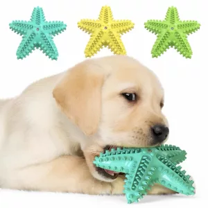 jouet à mâcher pour chien, jouet brosse à dents pour chien