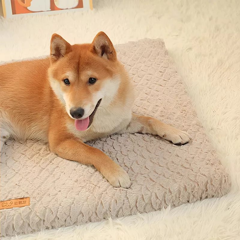 cuccia per cani lavabile, cuccia per cani in peluche, cuccia per cani sfoderabile