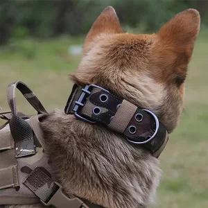 collare per cani, collare tattico per cani, collare militare per cani, collare regolabile per cani