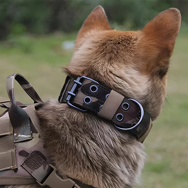 collare per cani, collare tattico per cani, collare militare per cani, collare regolabile per cani