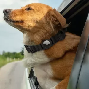 collare per cani airtag, collare per cani tattico, collare per cani impermeabile, collare per cani con maniglia, collare per cani con porta airtag, collare per cani militare