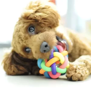 palla per cani, giocattolo da masticare per cani
