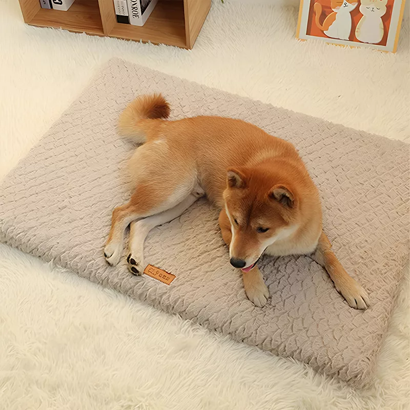 cuccia per cani lavabile, cuccia per cani in peluche, cuccia per cani sfoderabile