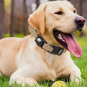 collare per cani airtag, collare per cani tattico, collare per cani impermeabile, collare per cani con maniglia, collare per cani con porta airtag, collare per cani militare