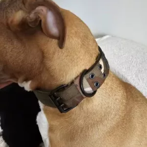 Ricevuto Collare Tattico Regolabile per Cani dal cliente X****x.