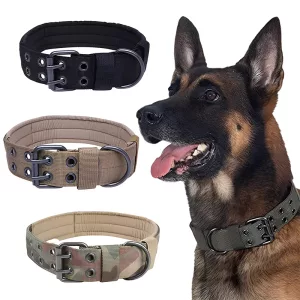 collare per cani, collare tattico per cani, collare militare per cani, collare regolabile per cani