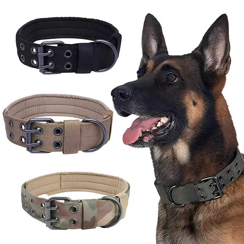 collare per cani, collare tattico per cani, collare militare per cani, collare regolabile per cani