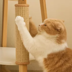 Tappetino antigraffio per gatti