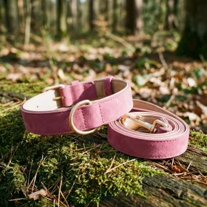 Set di Collare e Guinzaglio Morbido per Cani