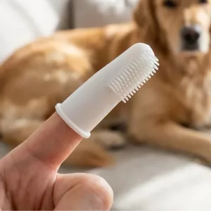 Spazzolino da dito in morbido silicone per cani