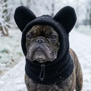 dog scarf hat, dog balaclava