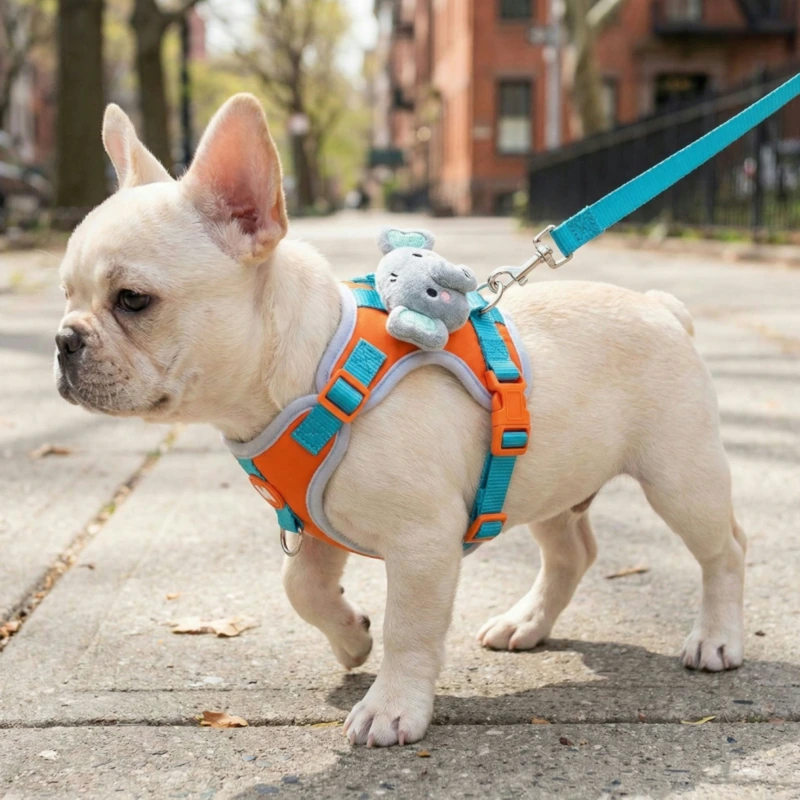 dog vest harness, harness leash set
