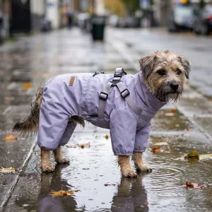 waterproof dog coat with harness