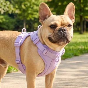 Pettorina a gilet in nylon traspirante anti-tiro per cani