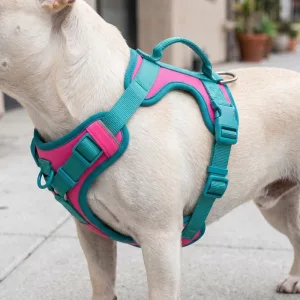 Graziosa pettorina traspirante anti-tiro per cani