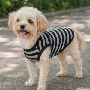 T-shirt estiva a righe in cotone per cani