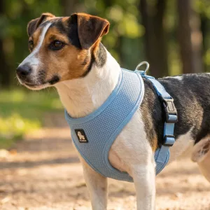 Pettorina per cani in nylon a rete traspirante anti-tiro
