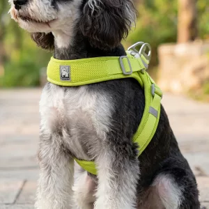 Pettorina a gilet in rete morbida e traspirante anti-tiro per cani