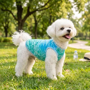 dog sun protection shirt