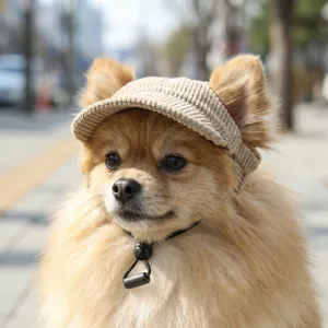 Cappellino da baseball regolabile per cani