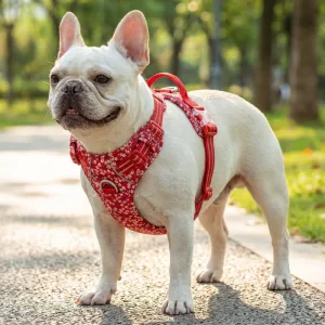 Pettorina per cani in cotone con motivo floreale, riflettente e anti-tiro